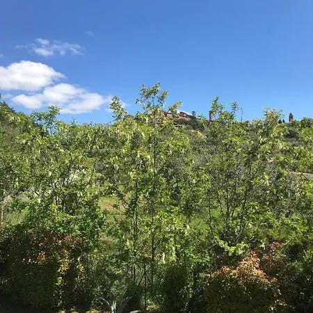 Il Casale Tra Gli Ulivi