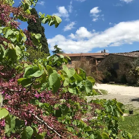 Lejlighed Il Casale Tra Gli Ulivi *