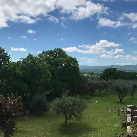 Il Casale Tra Gli Ulivi